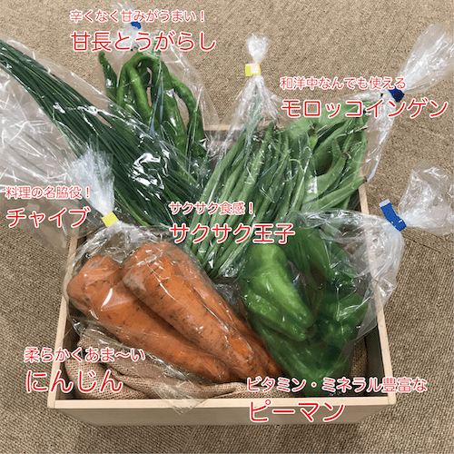 yaotomi 野菜通販