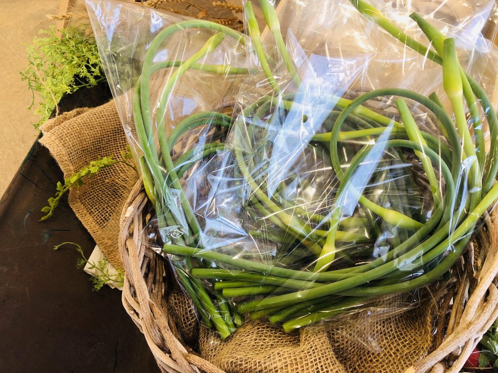今しか食べられない の芽とは 今しか食べられない の芽とは