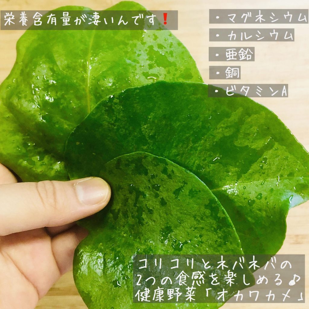 ミネラルたっぷり 栄養豊富なスーパーフードお野菜とは