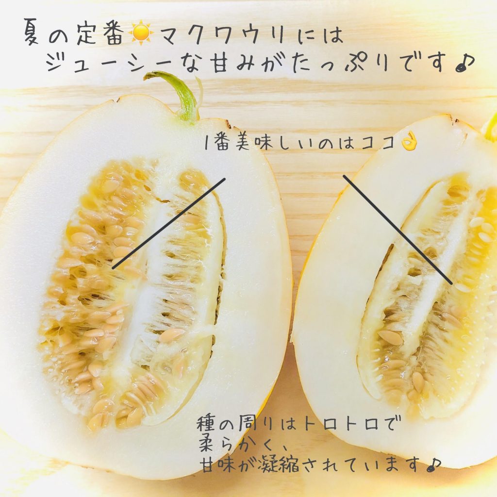 一度食べるとクセになる 冷やすと更に美味しい旬のマクワウリ