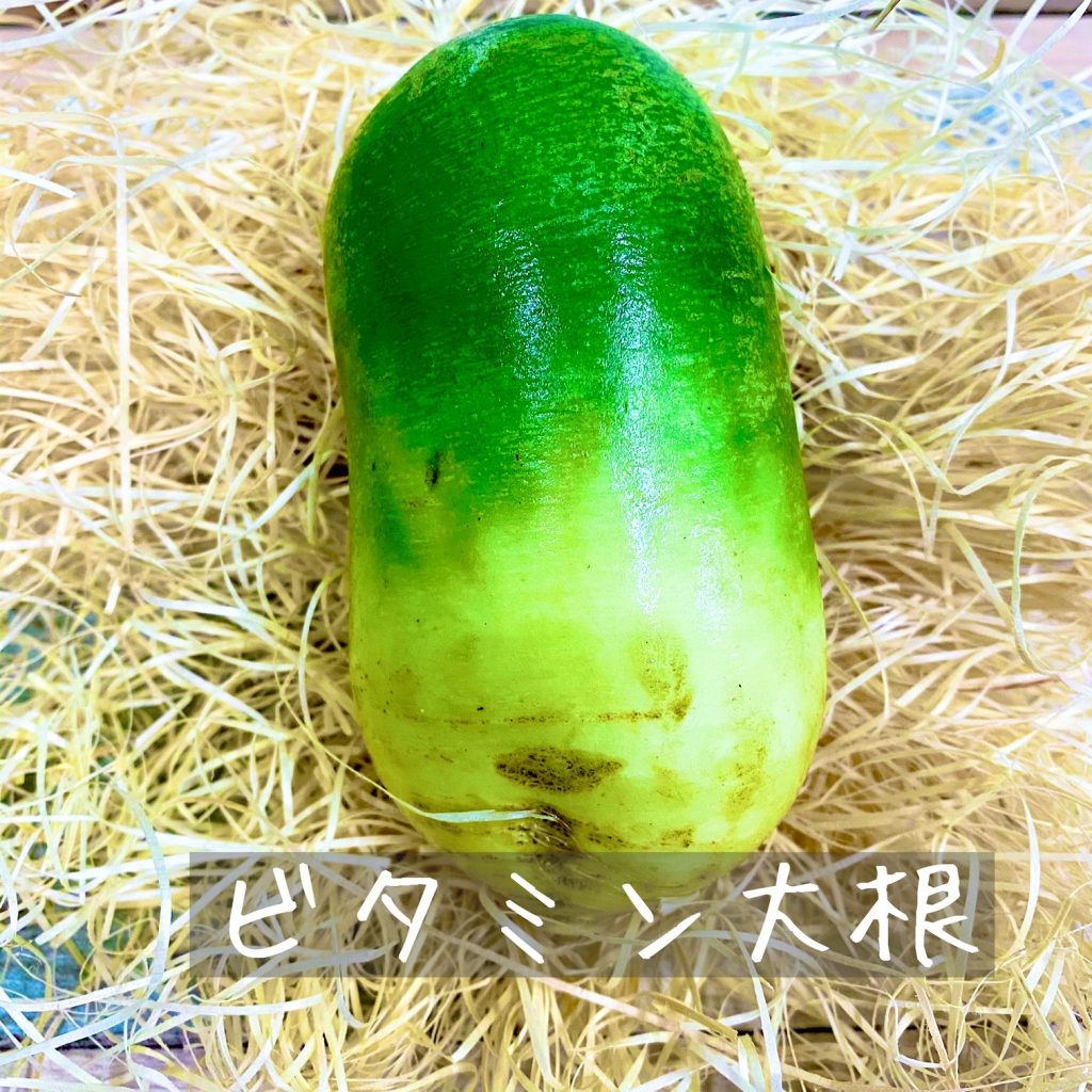 彩り可愛い3色大根 スタジオchita By Yaotomi Official Blog 彩り可愛い3色大根 スタジオchita By Yaotomi Official Blog