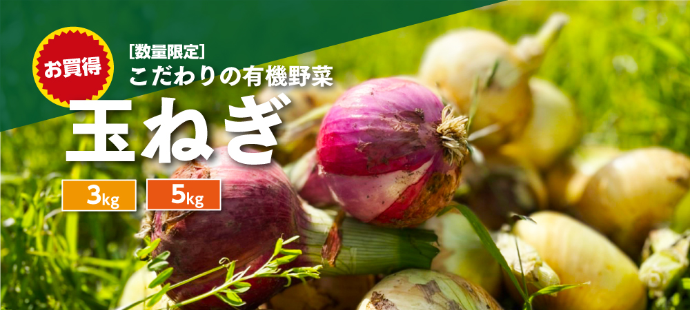 新玉ねぎ