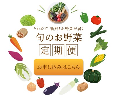 旬のお野菜定期便