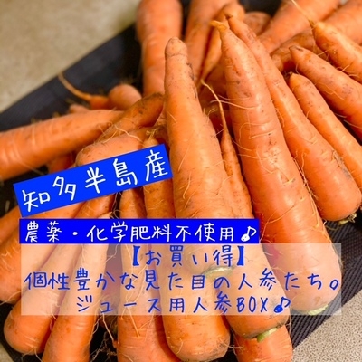  【傷ありお徳用】ジュース用　有機栽培人参BOX 5kg