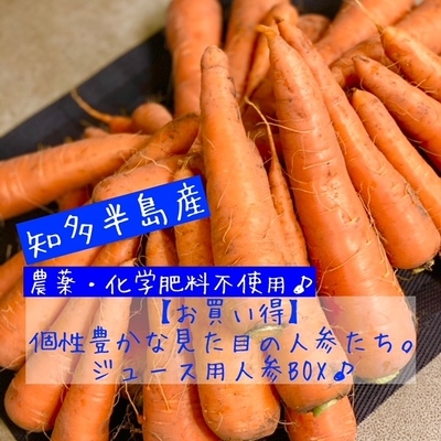  y肨pzW[Xp@L@͔|lQBOX 7kg