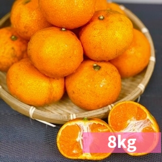 yʌz܂ŐHׂS̔_Ew엿sgp݂@8KgBox()