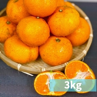 yʌz܂ŐHׂS̔_Ew엿sgp݂@3KgBox()