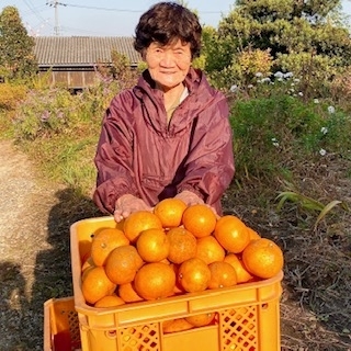 yʌz܂ŐHׂS̔_Ew엿sgp݂@3KgBox()