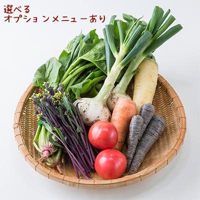 【毎週お届け】旬のお野菜定期便　Sサイズ