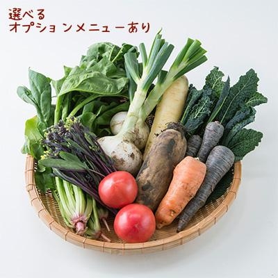 【月に１回お届け】旬のお野菜定期便　　Mサイズ