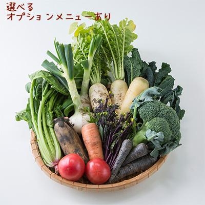 【毎週お届け】旬のお野菜定期便　Lサイズ