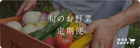 旬のお野菜定期便